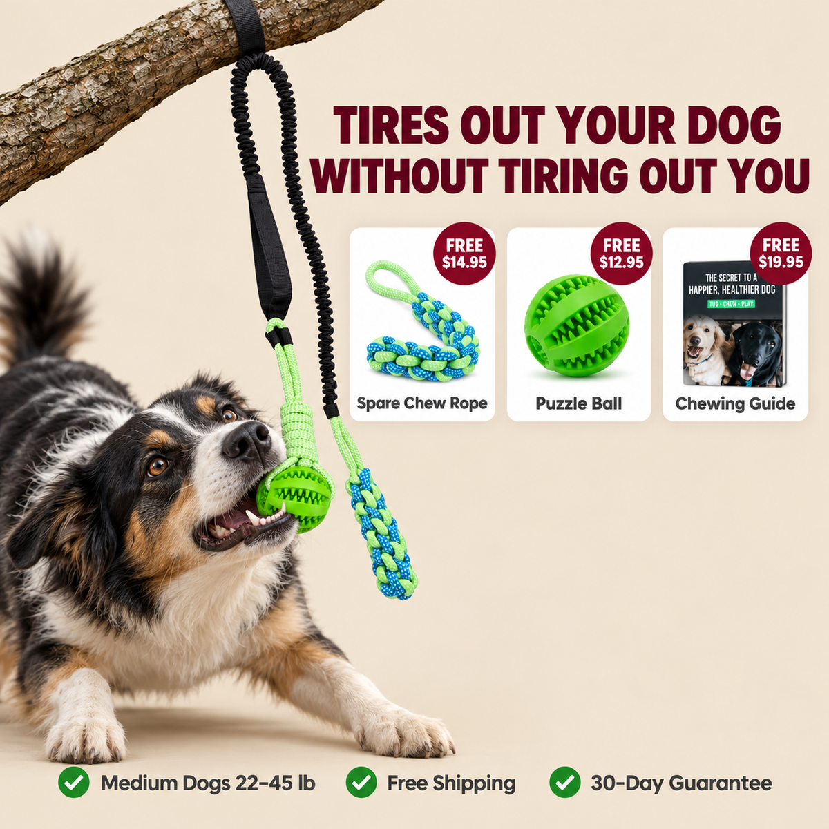 TugTough Bungee Tug Toy · Medium Dogs 22–45 lb