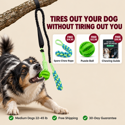TugTough Bungee Tug Toy · Medium Dogs 22–45 lb