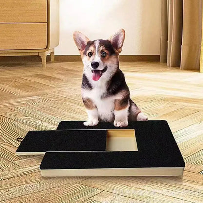 ScratchPup dog nail scratch board with a corgi sitting behind it
