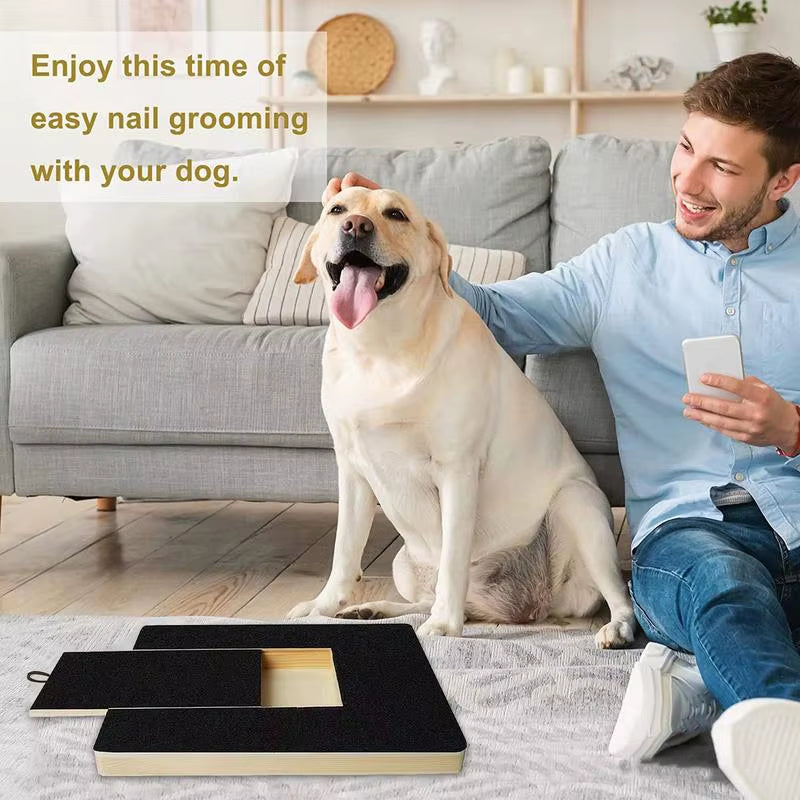 Labrador sitting next to the ScratchPup scratch board at home