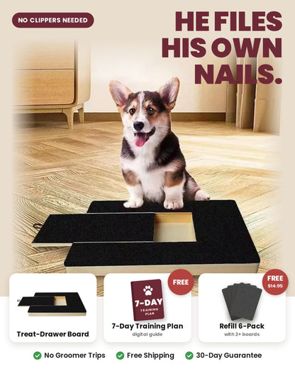 ScratchPup dog nail scratch board with a corgi sitting on it