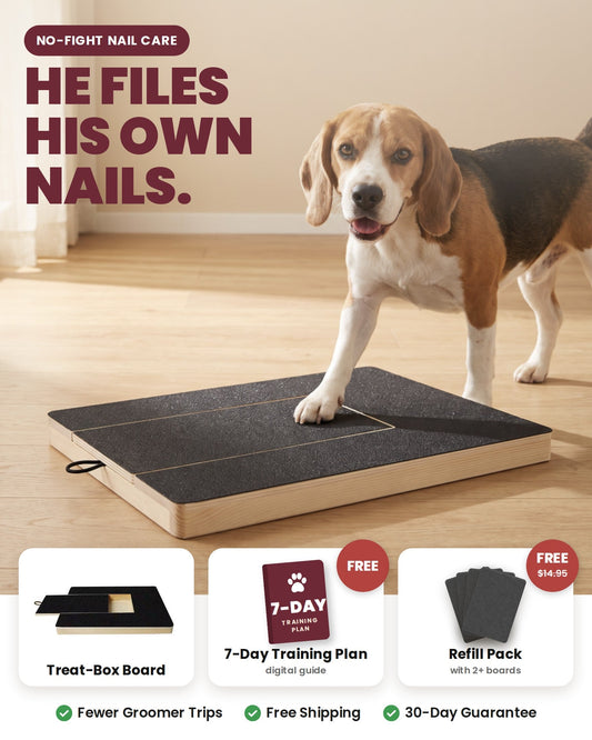 ManiPup dog nail scratch board with a beagle standing on it, plus the free 7-day training plan and a free refill pack with 2 or more boards