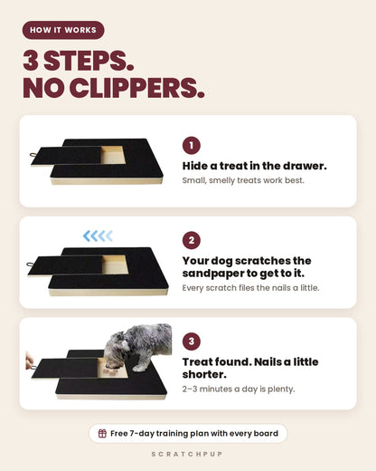 How ScratchPup works: hide a treat, your dog scratches the sandpaper, nails get filed