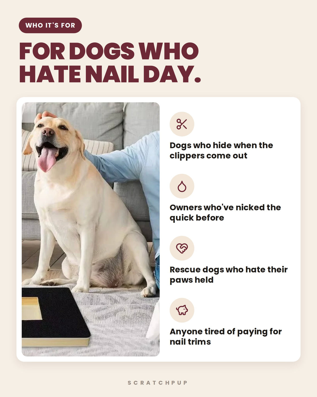 Labrador next to the ScratchPup board, made for dogs who hate nail trims