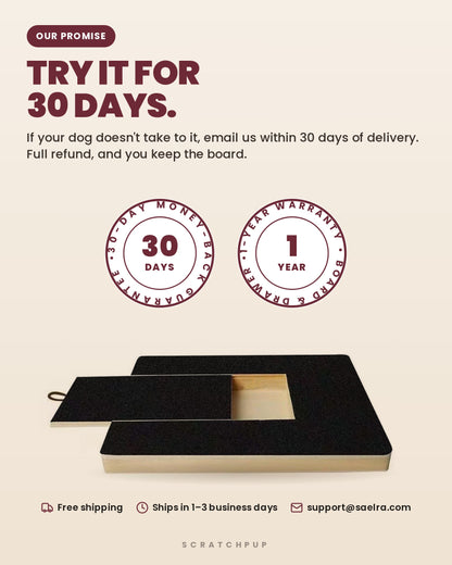 ScratchPup 30-day money-back guarantee and 1-year warranty
