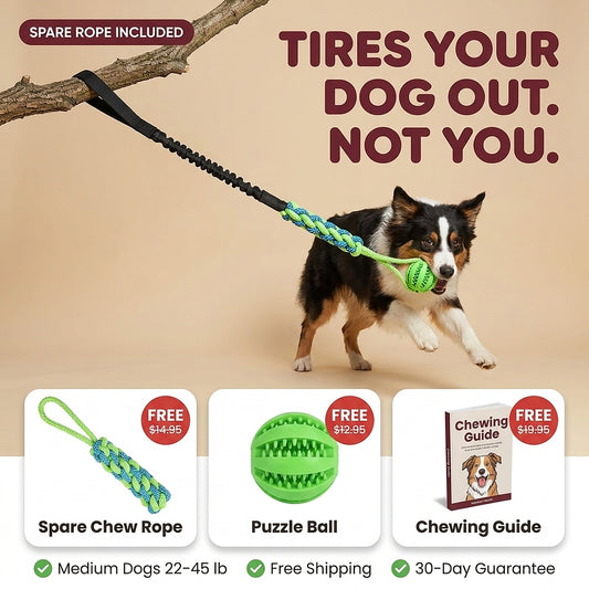 TugTough Bungee Tug Toy · Medium Dogs 22–45 lb