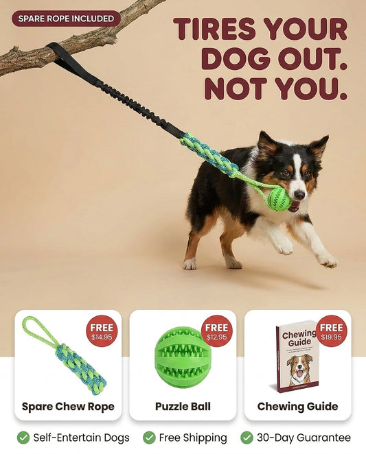 TugTough hanging bungee tug toy with an Australian shepherd tugging the rope; spare chew rope, puzzle ball and chewing guide included